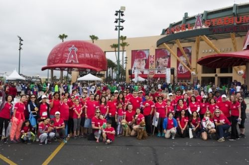 HOI Team at Arthritis Walk